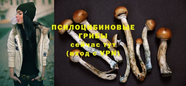 экстази Алексин