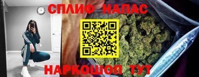винт Сланцы