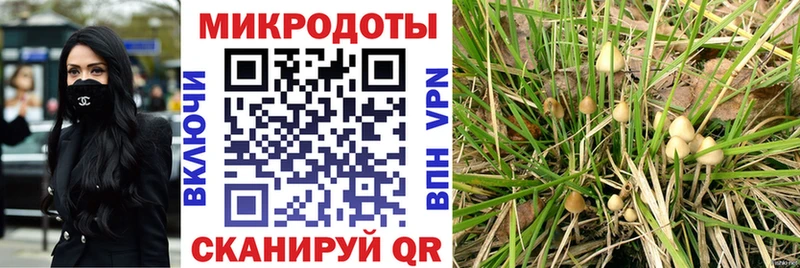 закладки  Сухой Лог  Псилоцибиновые грибы GOLDEN TEACHER 