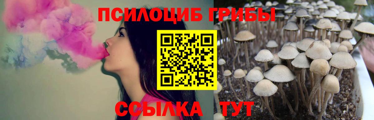 Галлюциногенные грибы MAGIC MUSHROOMS Сухой Лог